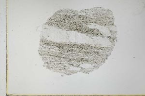 Plane Polarized, S31078