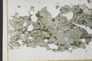 Plane Polarized, S31079