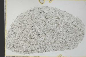 Plane Polarized, S31080