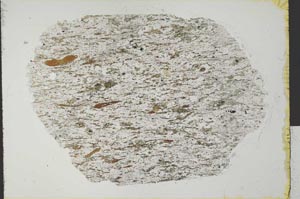 Plane Polarized, S31083