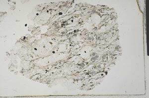 Plane Polarized, S31084