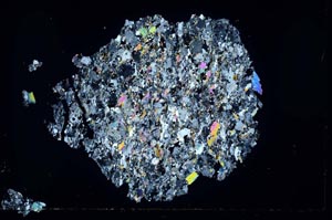 Cross Polarized, S31085