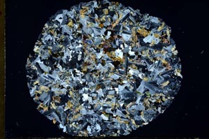 Cross Polarized, S31086