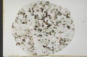 Plane Polarized, S31086