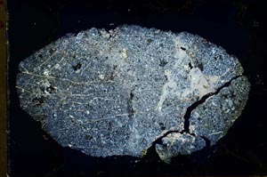 Cross Polarized, S31087