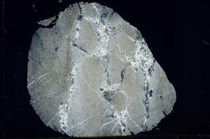 Cross Polarized, S31088