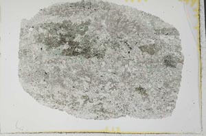Plane Polarized, S31108