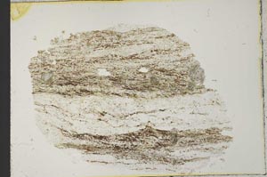 Plane Polarized, S31117