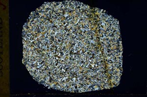 Cross Polarized, S31122