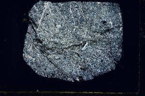 Cross Polarized, S31127