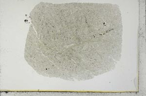 Plane Polarized, S31127