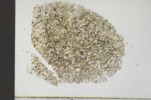 Plane Polarized, S31128