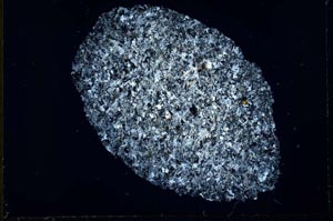 Cross Polarized, S31129