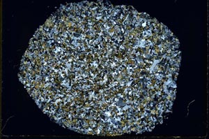 Cross Polarized, S31130