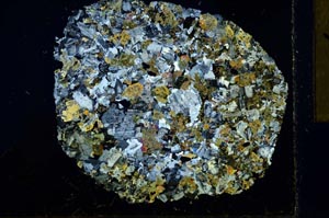 Cross Polarized, S31134