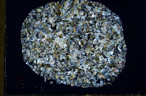 Cross Polarized, S31138