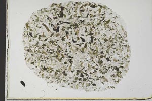 Plane Polarized, S31138