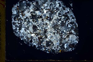 Cross Polarized, S31142