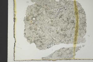 Plane Polarized, S31146