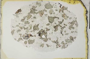 Plane Polarized, S31151
