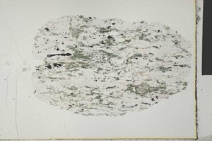 Plane Polarized, S31153