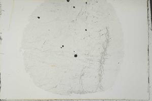 Plane Polarized, S31154