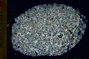 Cross Polarized, S31158