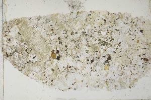 Plane Polarized, S31159/A