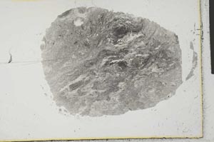 Plane Polarized, S31165