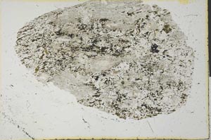 Plane Polarized, S31168