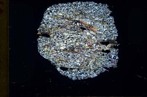 Cross Polarized, S31171