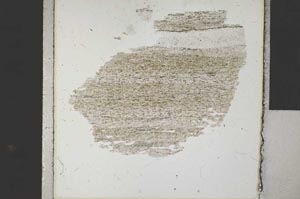 Plane Polarized, S31187