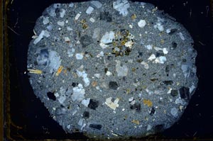 Cross Polarized, S31195