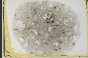 Plane Polarized, S31195