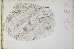 Plane Polarized, S31196