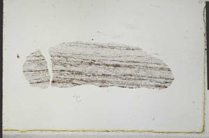 Plane Polarized, S31203