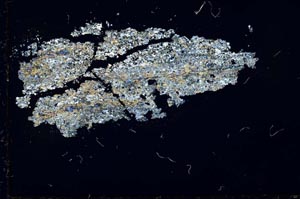 Cross Polarized, S31205