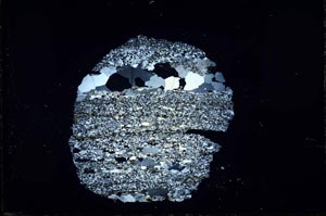 Cross Polarized, S31206