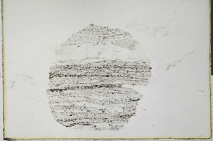 Plane Polarized, S31206