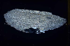 Cross Polarized, S31208