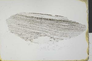 Plane Polarized, S31208