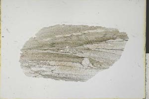 Plane Polarized, S31210