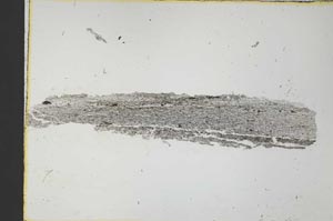 Plane Polarized, S31216