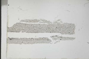 Plane Polarized, S31218