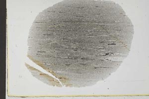 Plane Polarized, S31224