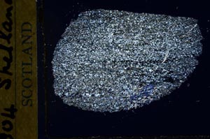 Cross Polarized, S31226