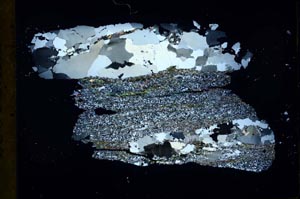 Cross Polarized, S31228