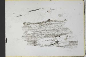 Plane Polarized, S31228