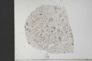Plane Polarized, S31254