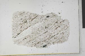 Plane Polarized, S31270